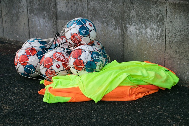 引援的可行 引援的可行