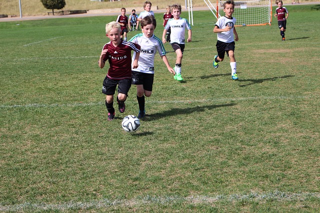 帮助球队获 帮助球队获