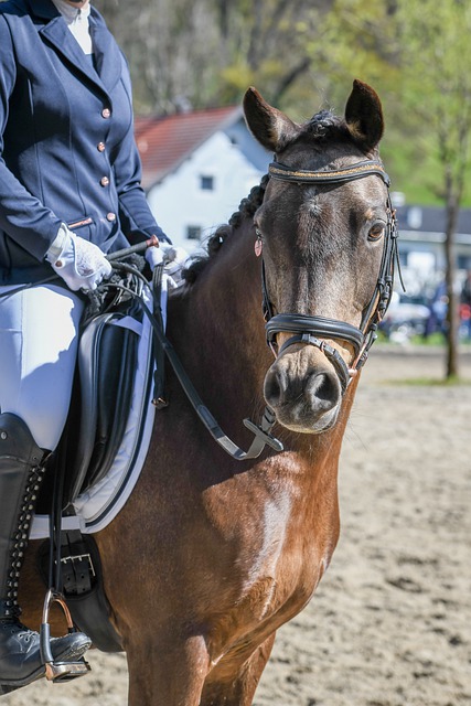 压力之下的 压力之下的