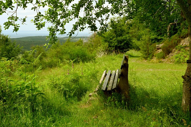 也是羽毛球 也是羽毛球